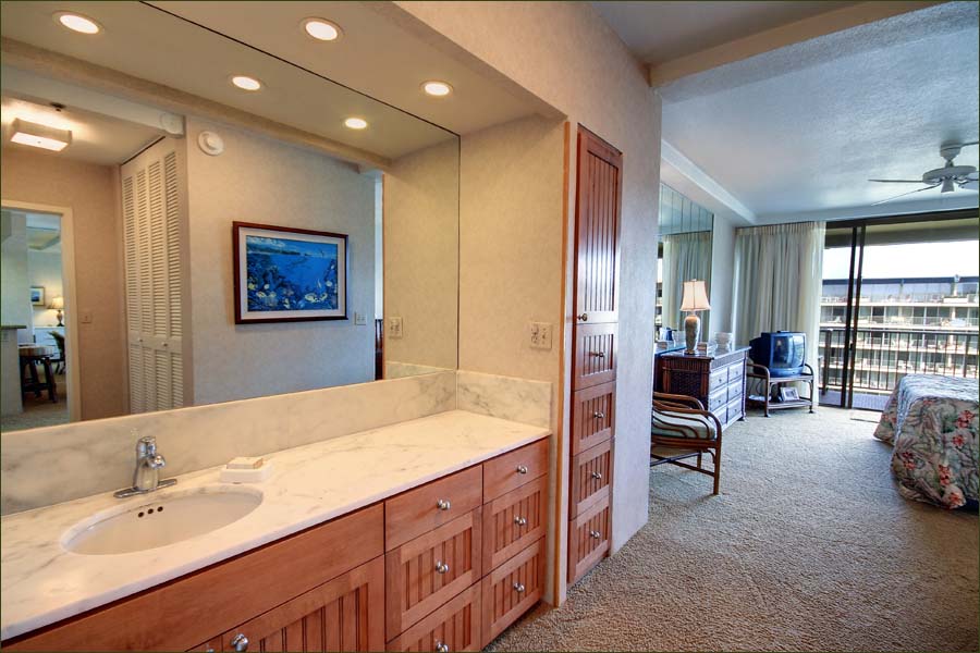 Master bathroom sink, vanity and dressing room.